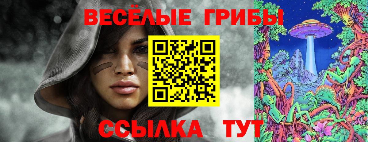 Чита  Псилоцибиновые грибы Psilocybe  Псилоцибиновые грибы Psilocybe  продажа наркотиков  Вход с VPN 