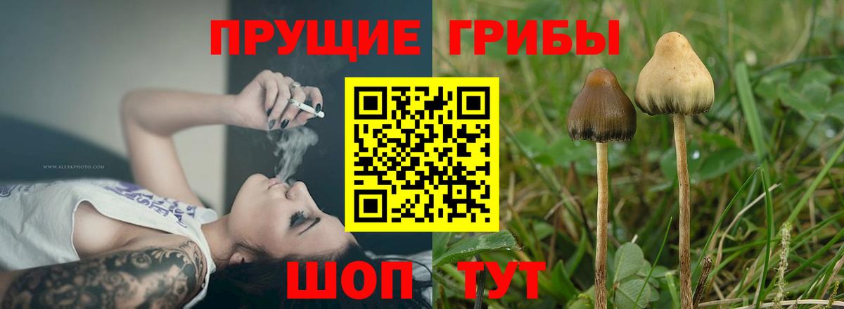 Галлюциногенные грибы мицелий Чита